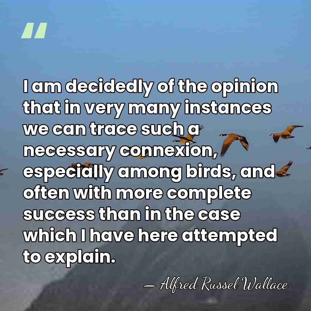 I am decidedly of the opinion that in very many instances we&hellip; - Alfred Russel Wallace