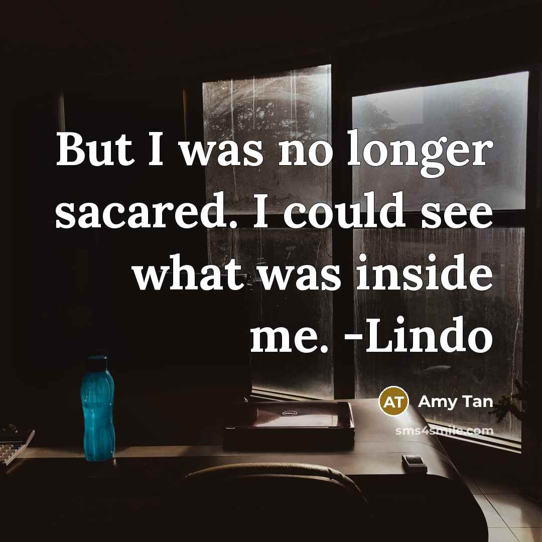 “But I was no longer sacared. I could see what…” quote by Amy Tan