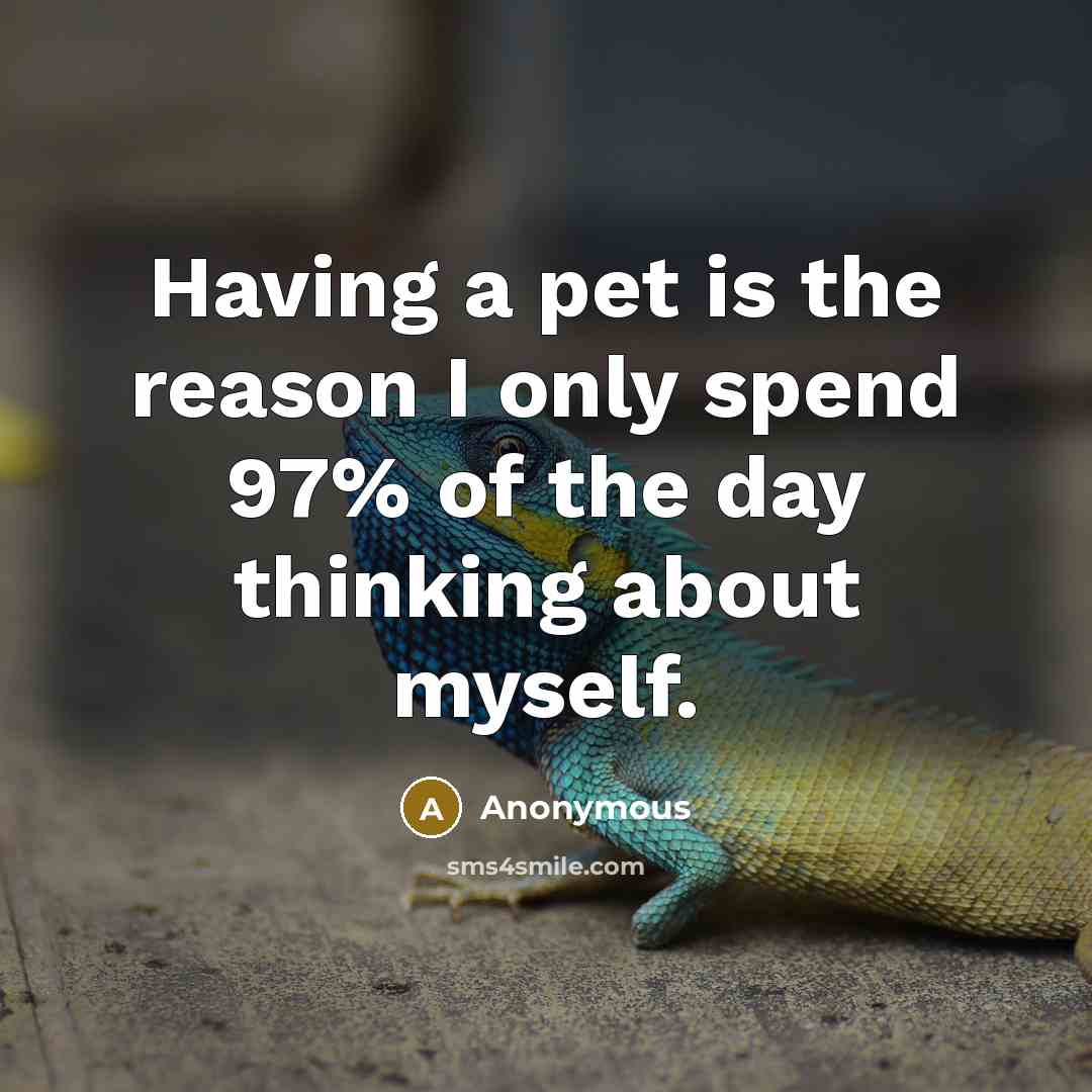 “Having a pet is the reason I only spend 97% of the day thinking about myself.” quote by Anonymous