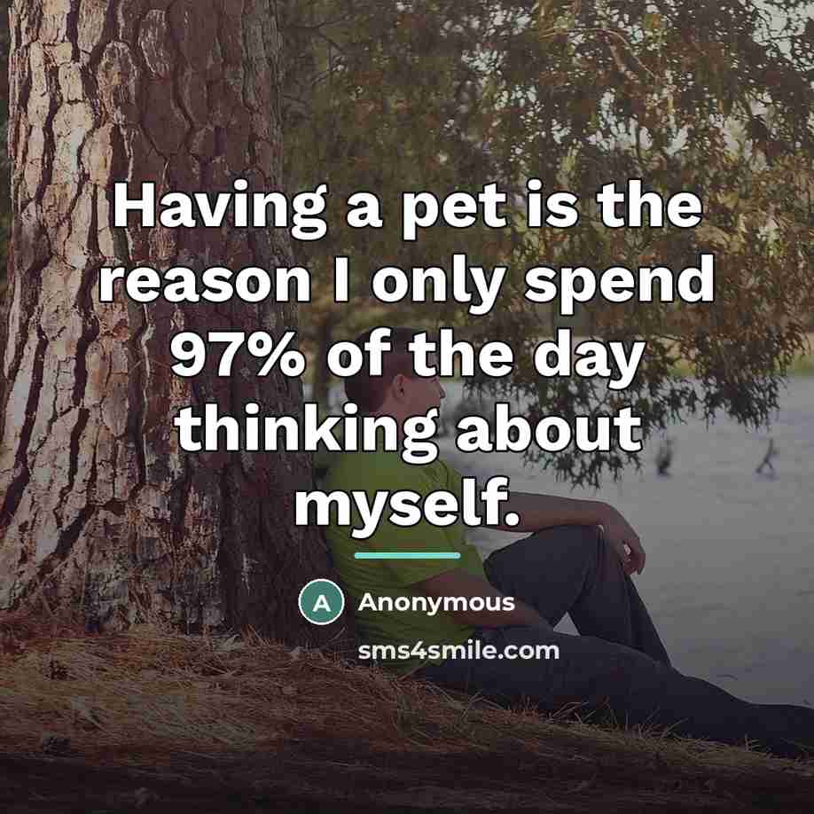 “Having a pet is the reason I only spend 97%…” quote by Anonymous