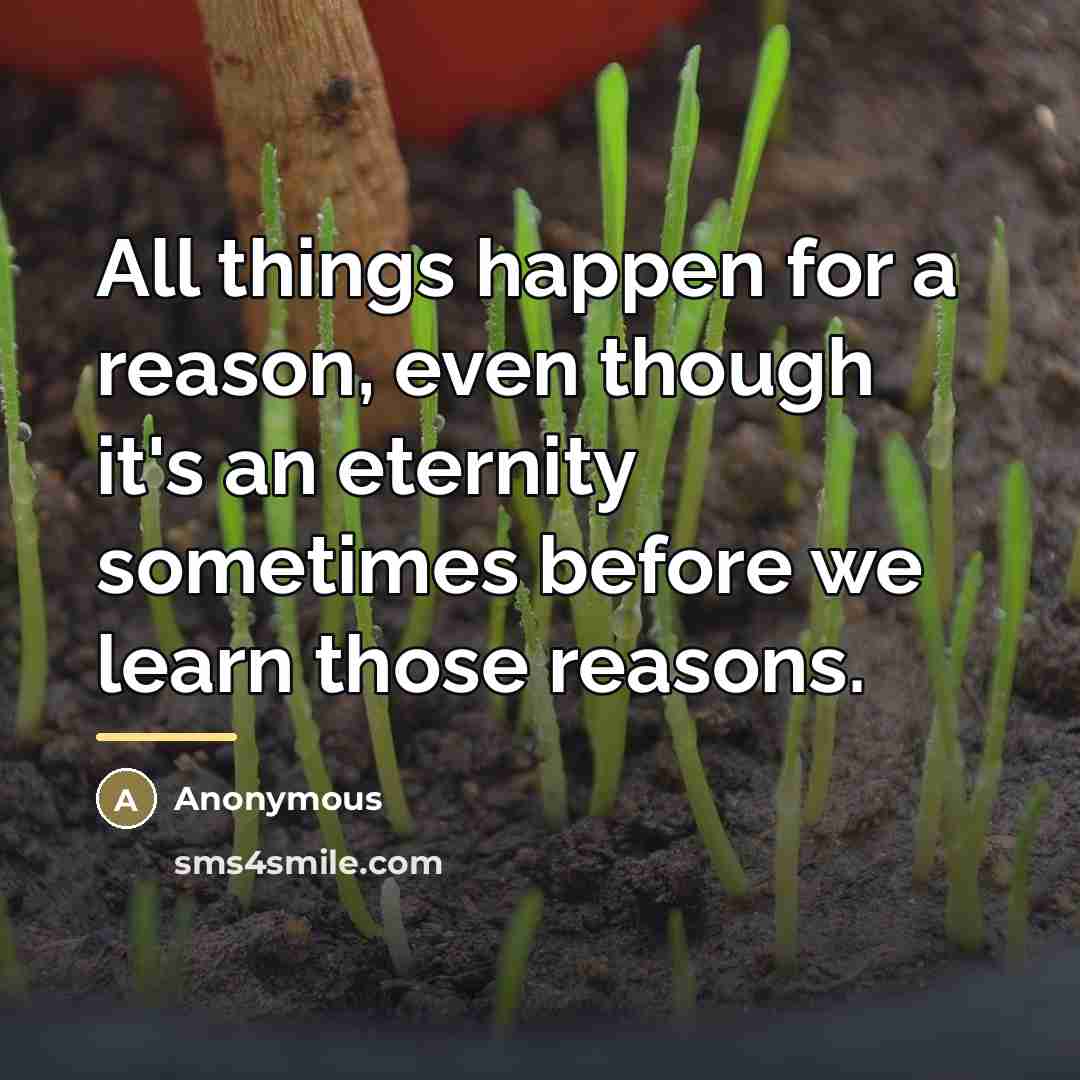 “All things happen for a reason, even though it's an…” quote by Anonymous