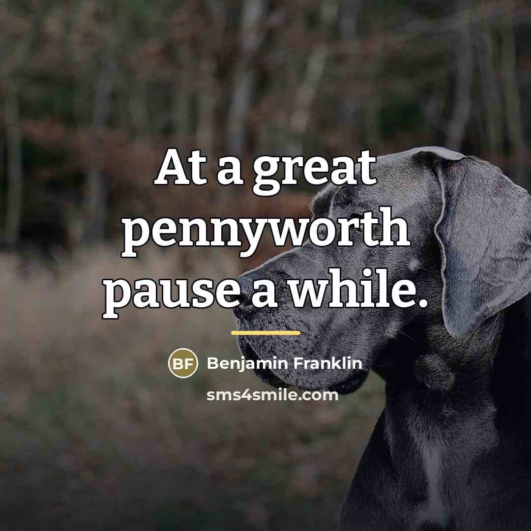 “At a great pennyworth pause a while.…” quote by Benjamin Franklin