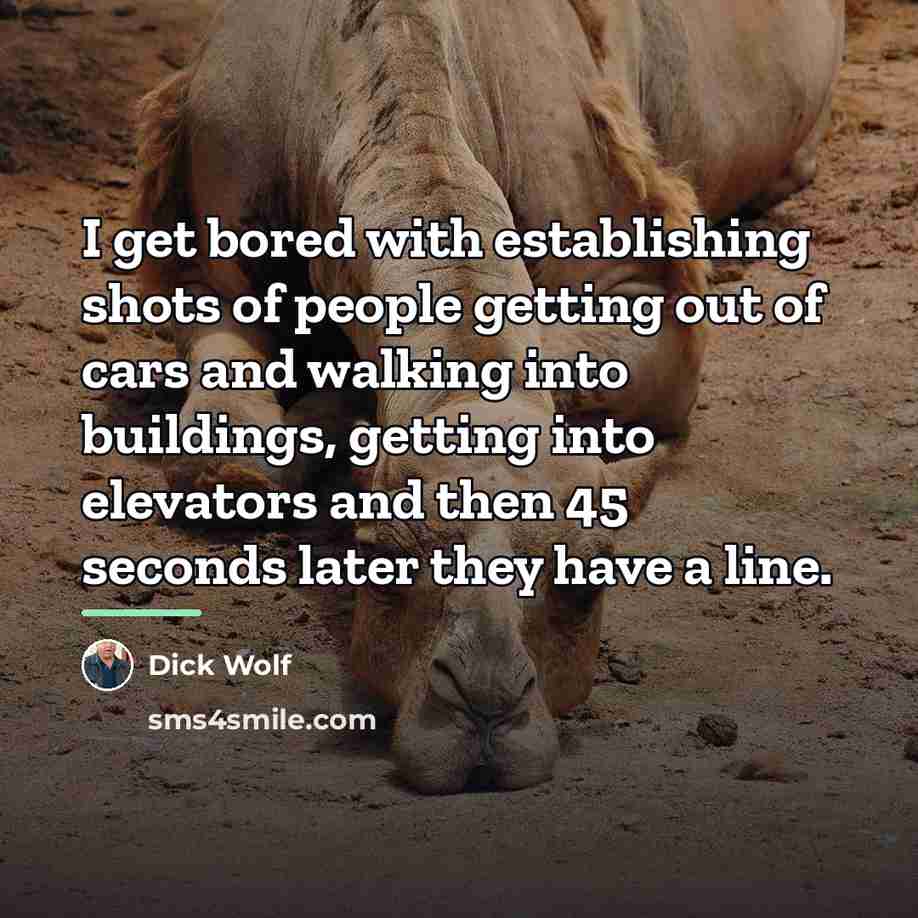 “I get bored with establishing shots of people getting out…” quote by Dick Wolf