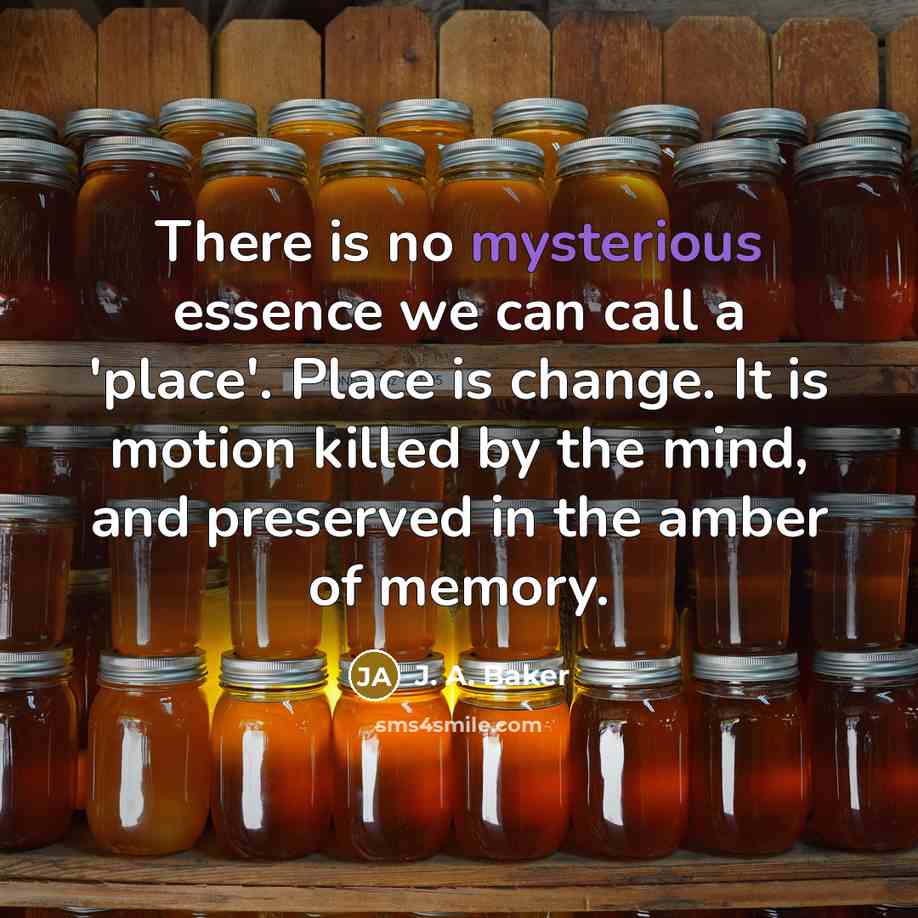 “There is no mysterious essence we can call a 'place'.…” quote by J. A. Baker