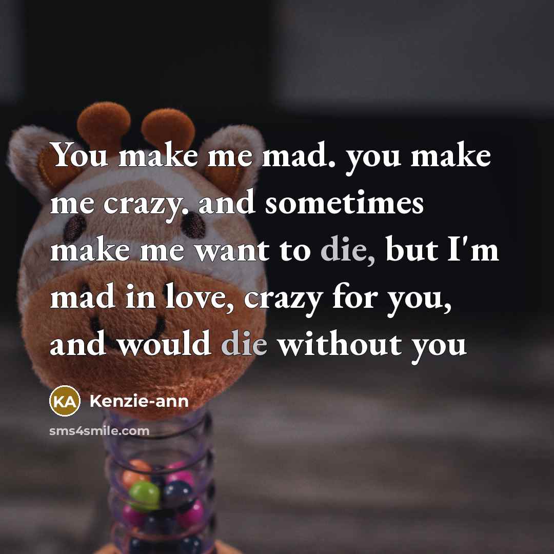 “You make me mad. you make me crazy. and sometimes…” quote by Kenzie-ann