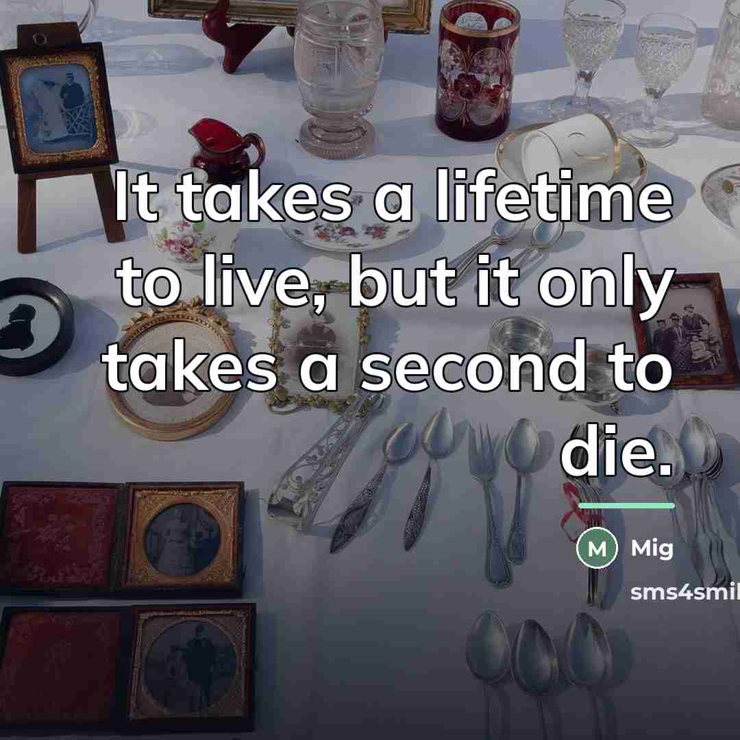 “It takes a lifetime to live, but it only takes…” quote by Mig