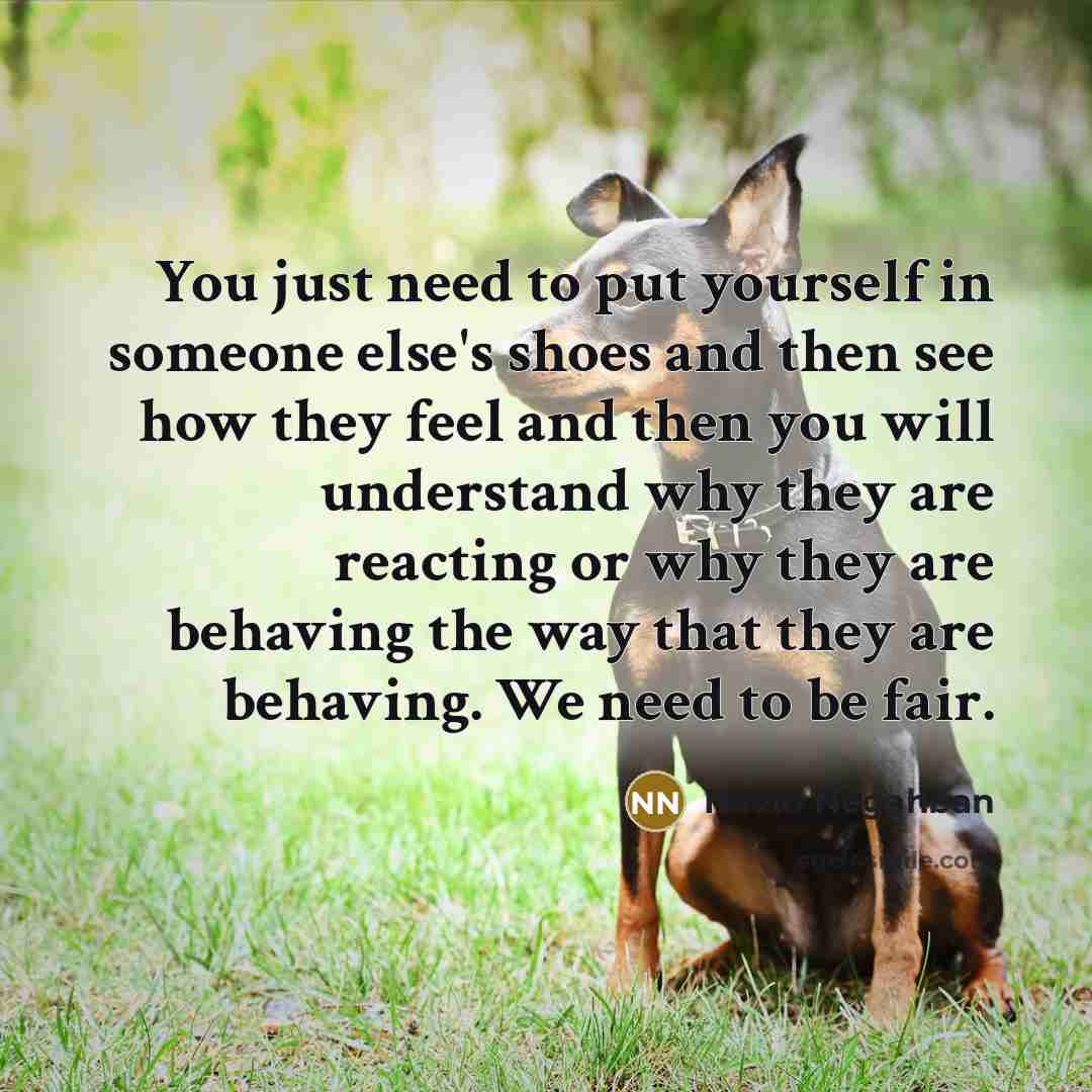 “You just need to put yourself in someone else's shoes and then see how they feel and then you will understand why they are reacting or why they are behaving the way that they are behaving. We need to be fair.” quote by Navid Negahban