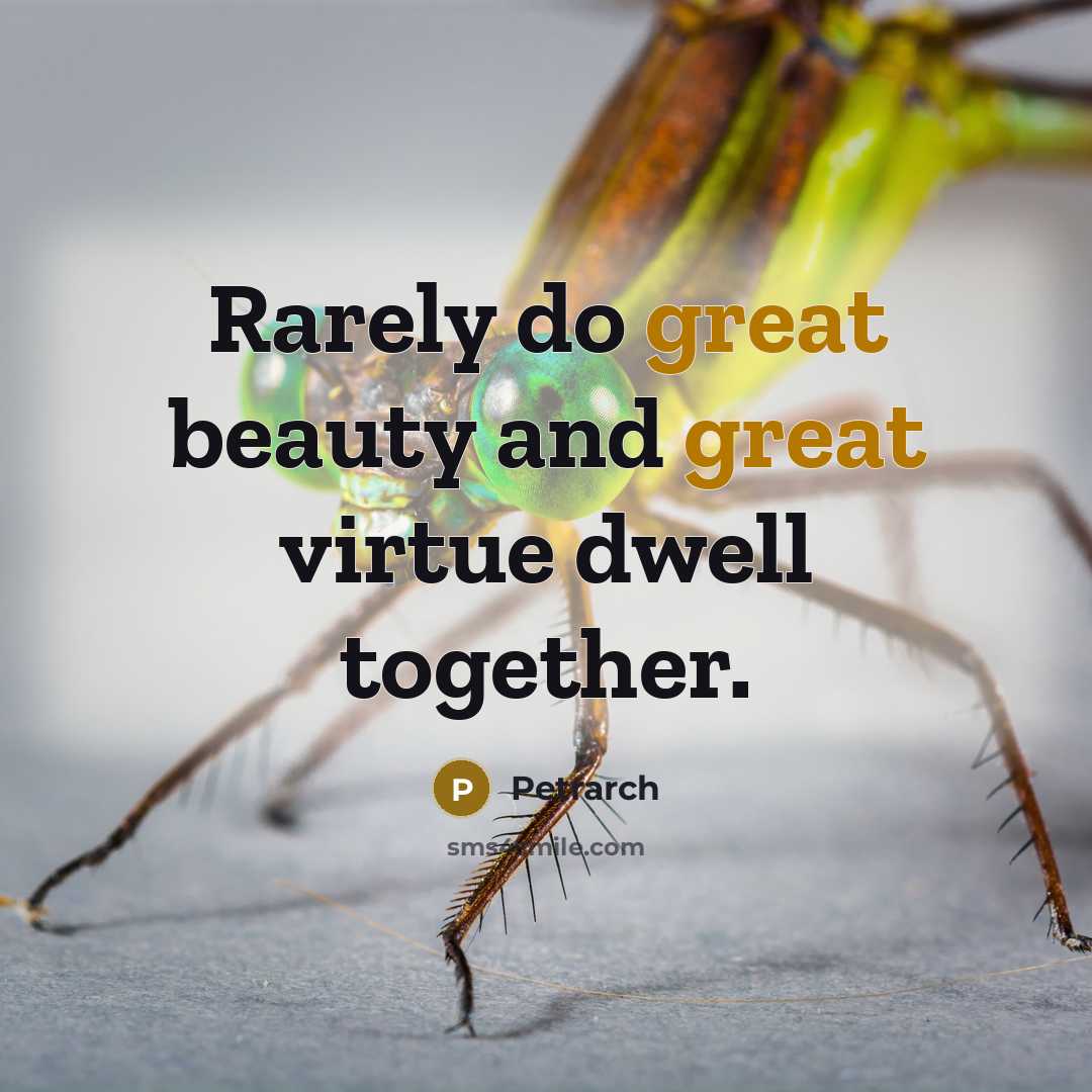 “Rarely do great beauty and great virtue dwell together.…” quote by Petrarch