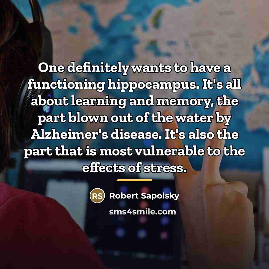 “One definitely wants to have a functioning hippocampus. It's all…” quote by Robert Sapolsky