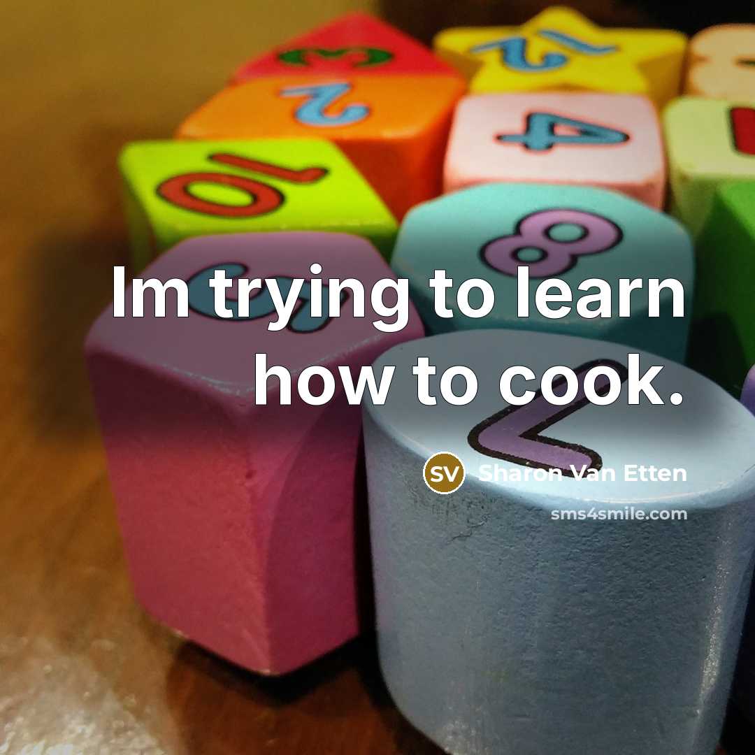 “Im trying to learn how to cook.…” quote by Sharon Van Etten