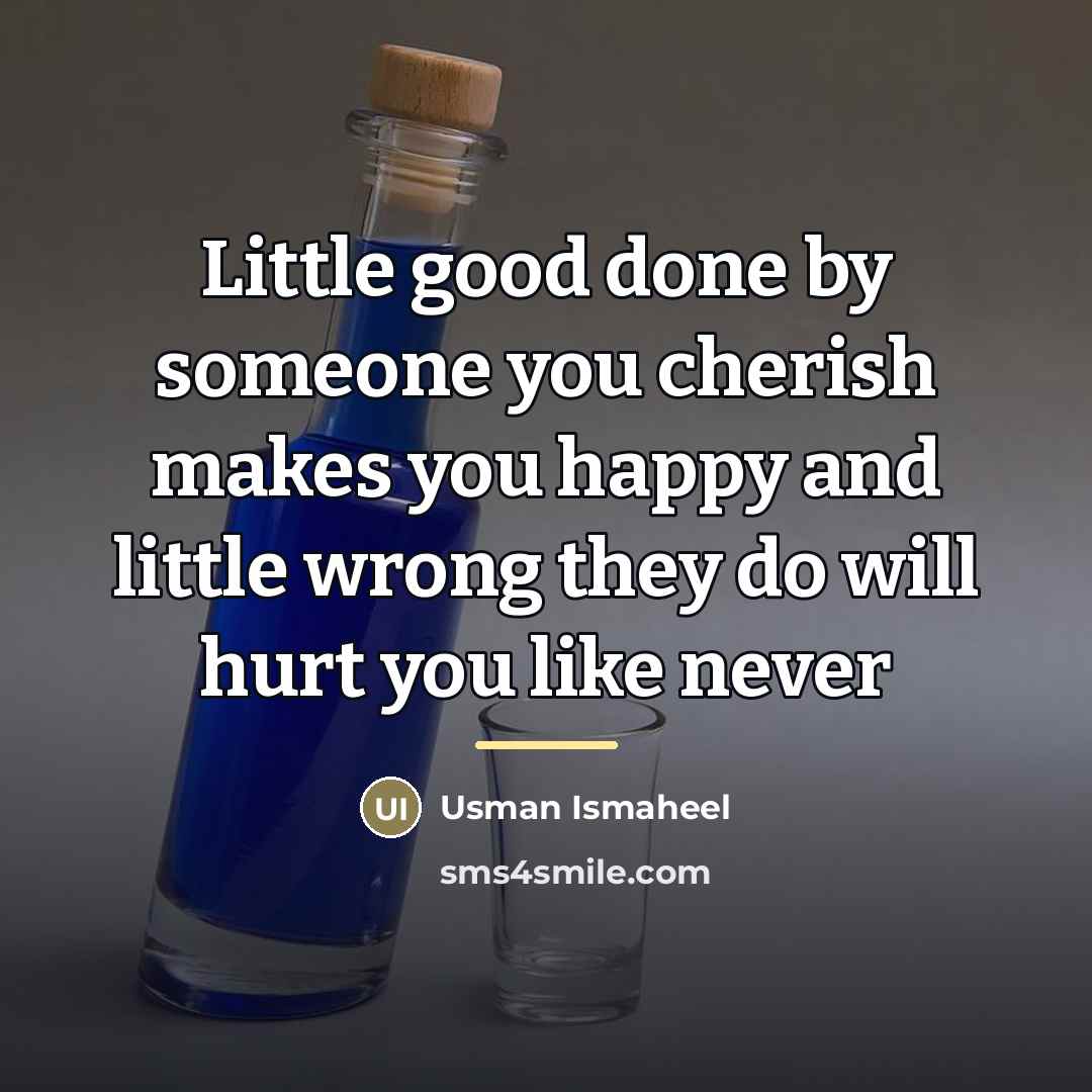 “Little good done by someone you cherish makes you happy…” quote by Usman Ismaheel