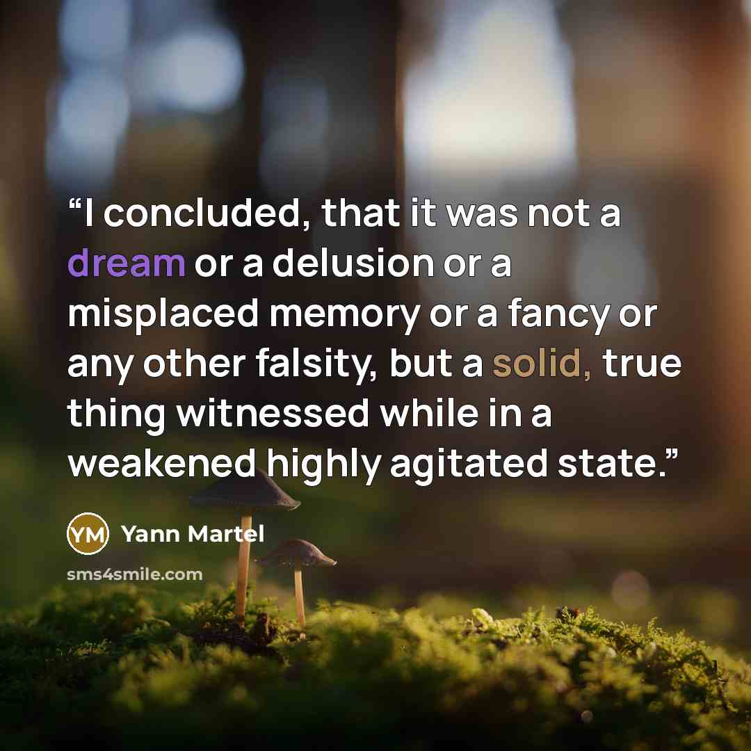 “I concluded, that it was not a dream or a delusion or a misplaced memory or a fancy or any other falsity, but a solid, true thing witnessed while in a weakened highly agitated state.” quote by Yann Martel