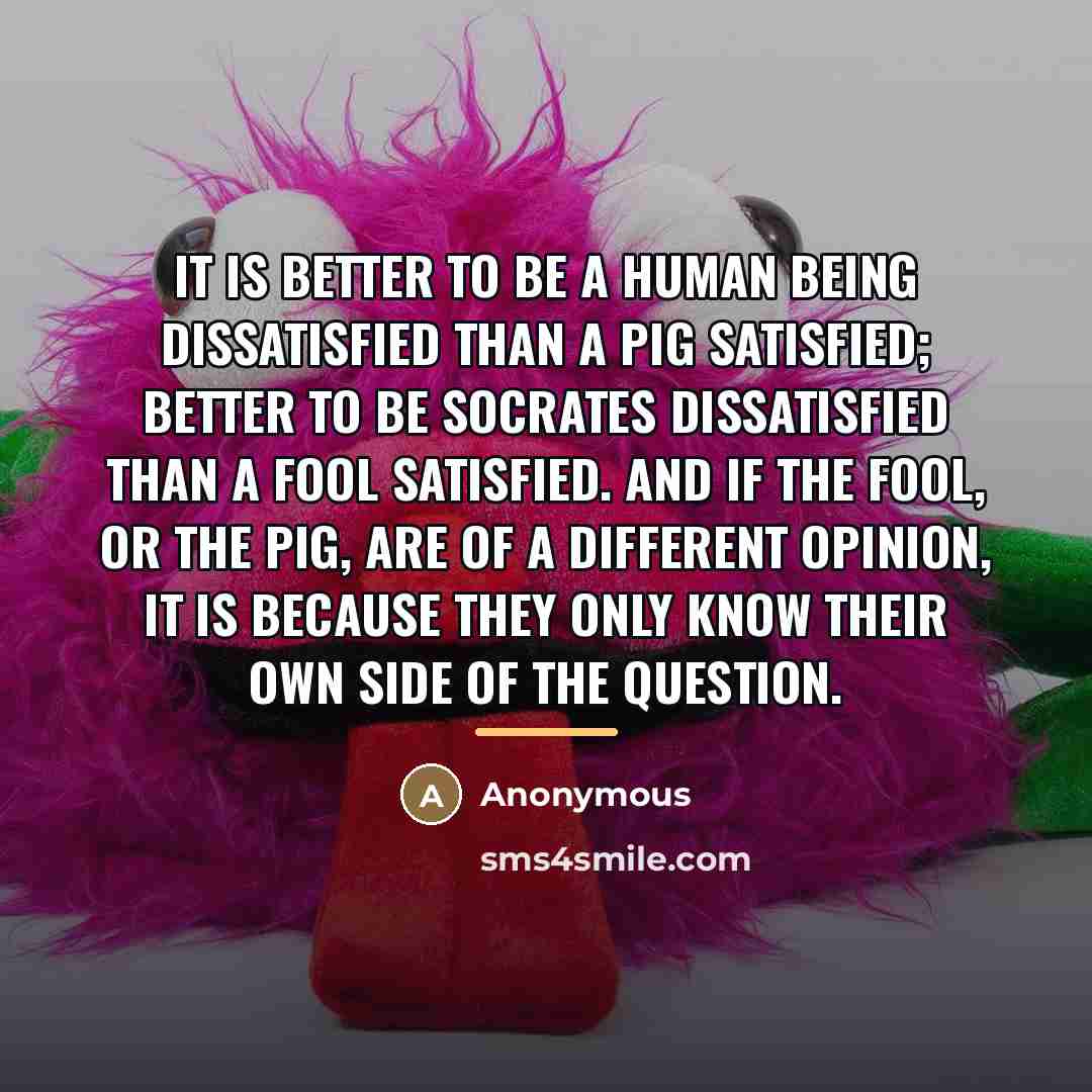 “It is better to be a human being dissatisfied than…” quote by Anonymous