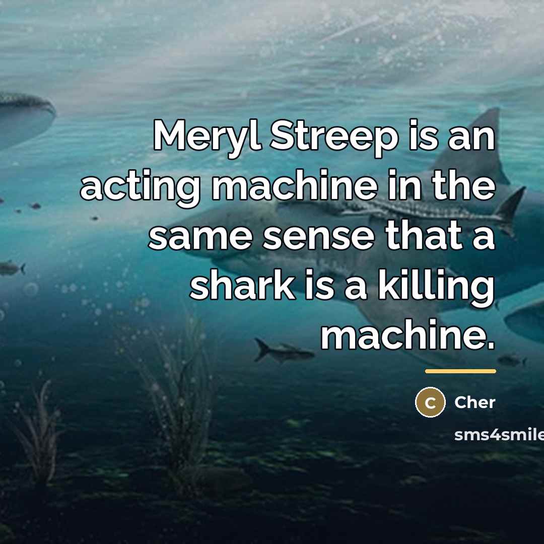 “Meryl Streep is an acting machine in the same sense…” quote by Cher