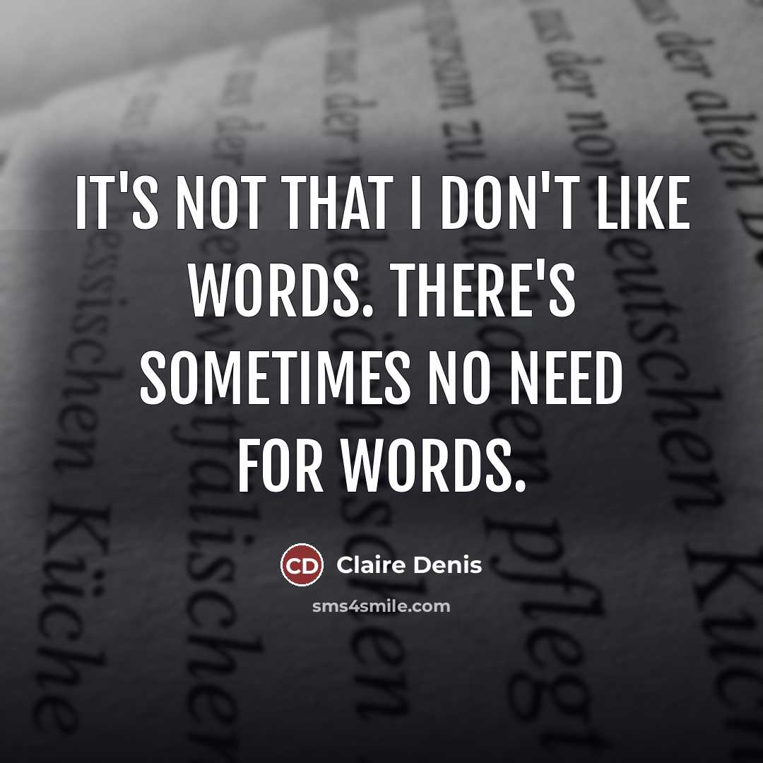 “It's not that I don't like words. There's sometimes no…” quote by Claire Denis