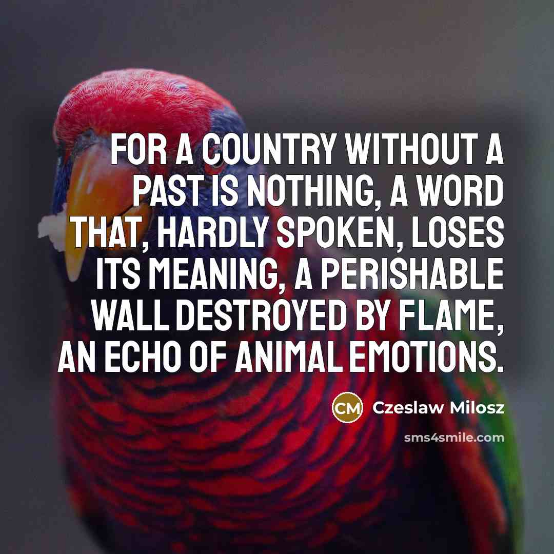 “For a country without a past is nothing, a word…” quote by Czeslaw Milosz