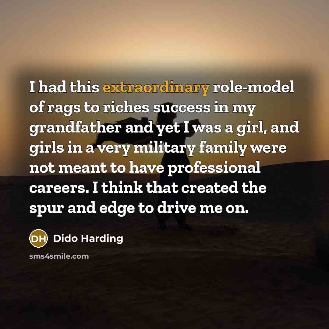 “I had this extraordinary role-model of rags to riches success…” quote by Dido Harding