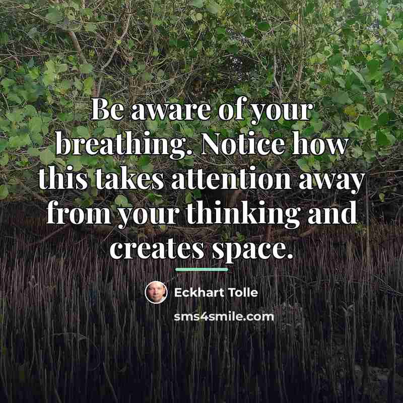 “Be aware of your breathing. Notice how this takes attention…” quote by Eckhart Tolle