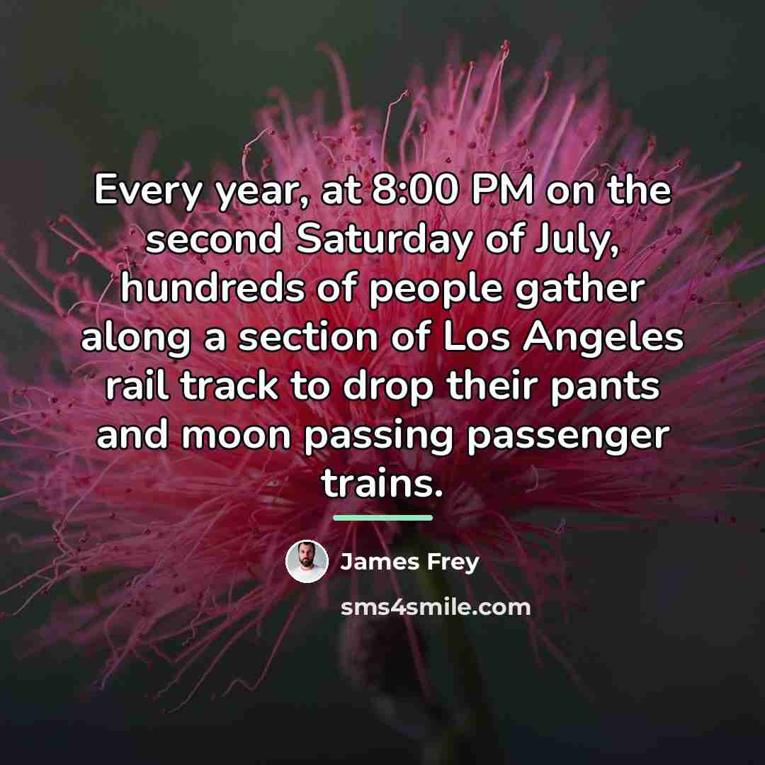 “Every year, at 8:00 PM on the second Saturday of…” quote by James Frey