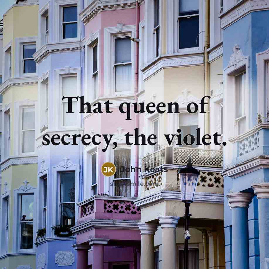 “That queen of secrecy, the violet.…” quote by John Keats