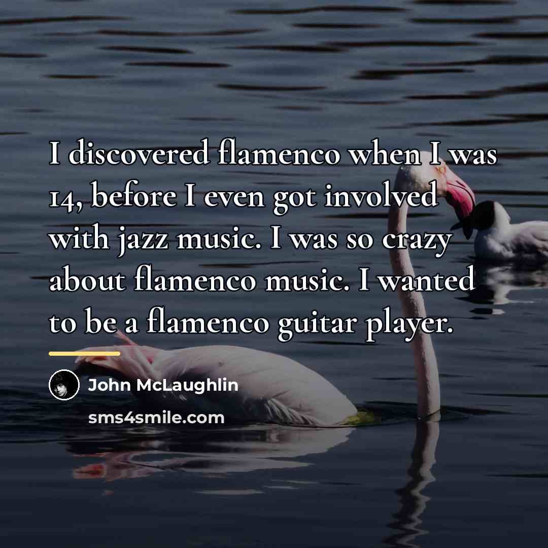 “I discovered flamenco when I was 14, before I even…” quote by John McLaughlin