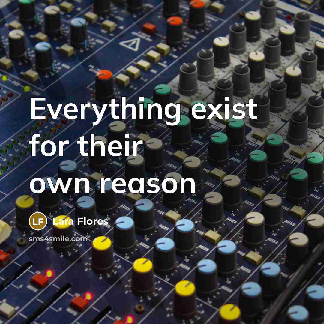 “Everything exist for their own reason…” quote by Lara Flores