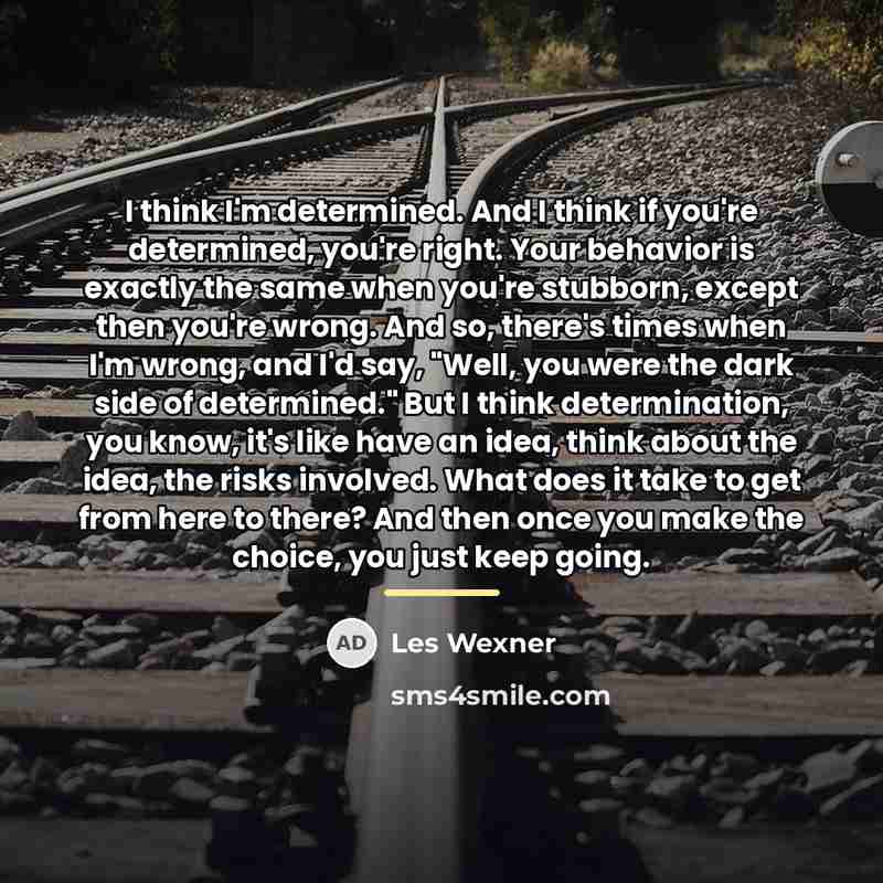 “I think I'm determined. And I think if you're determined,…” quote by Les Wexner