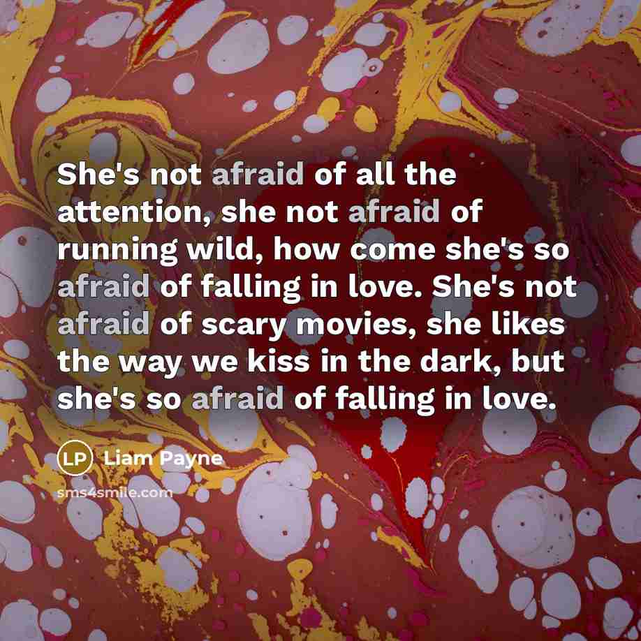 “She's not afraid of all the attention, she not afraid…” quote by Liam Payne