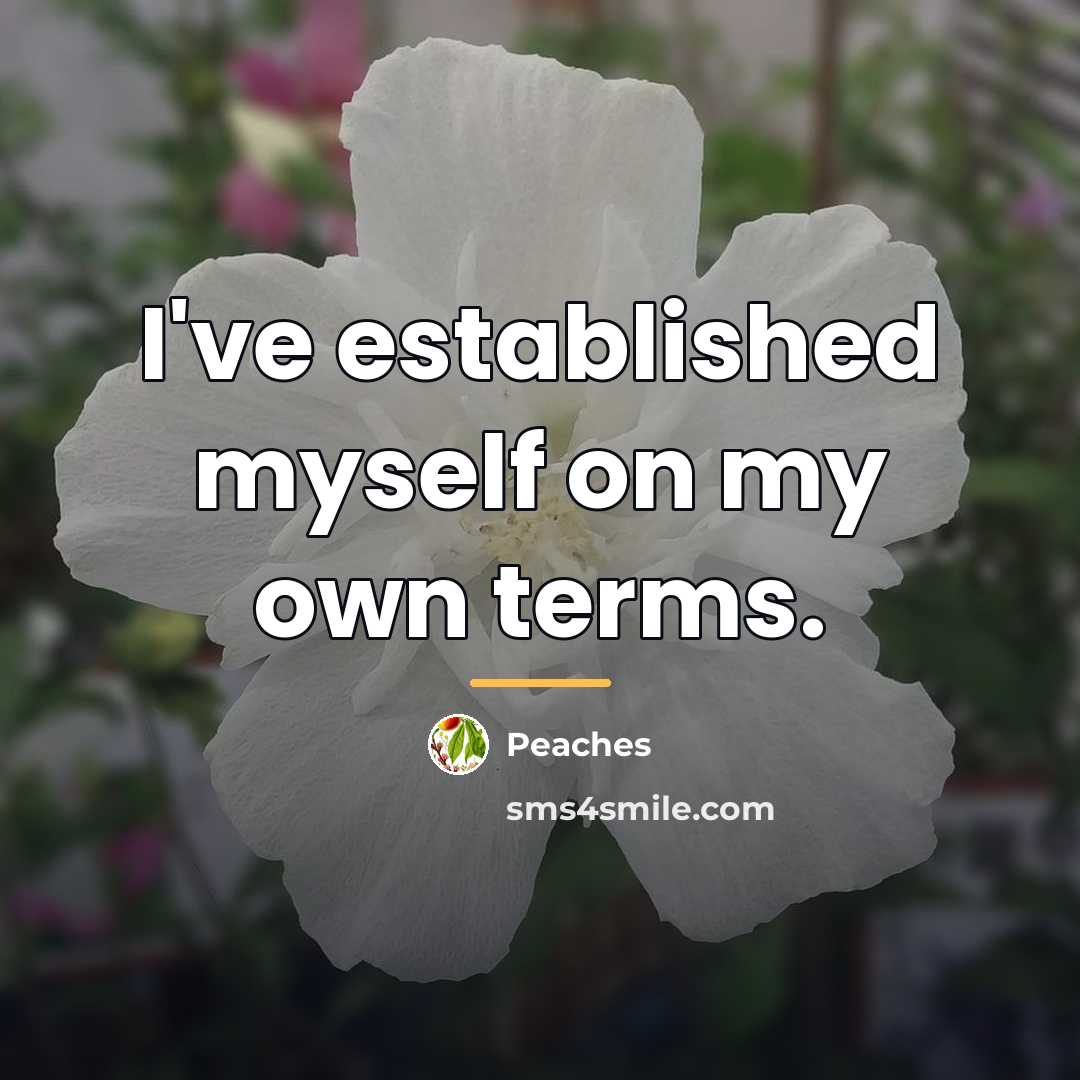 “I've established myself on my own terms.…” quote by Peaches
