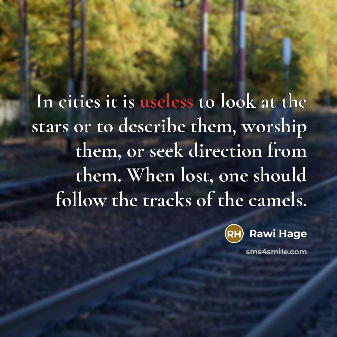“In cities it is useless to look at the stars…” quote by Rawi Hage