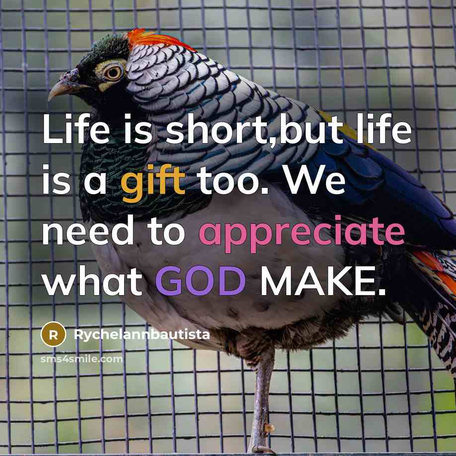 “Life is short,but life is a gift too. We need…” quote by Rychelannbautista