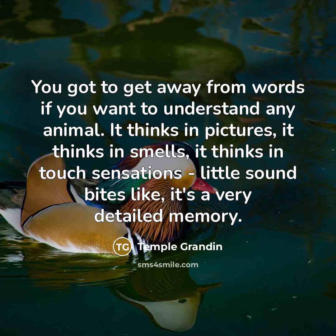 “You got to get away from words if you want…” quote by Temple Grandin