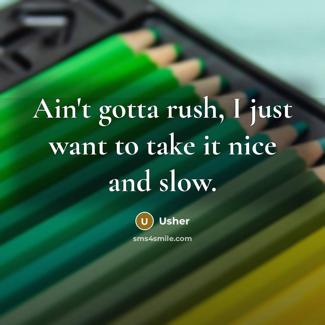 “Ain't gotta rush, I just want to take it nice…” quote by Usher