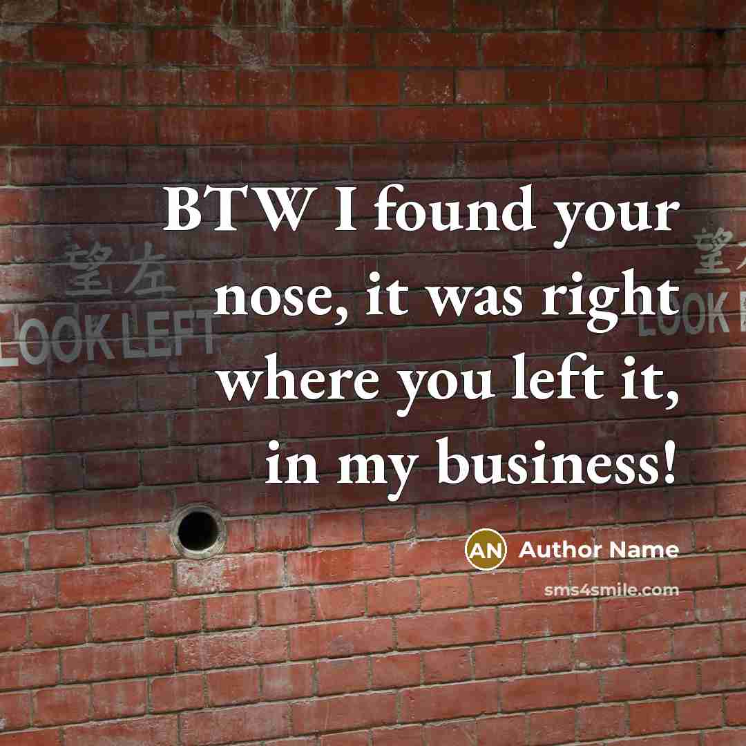 “BTW I found your nose, it was right where you…” quote by Author Name