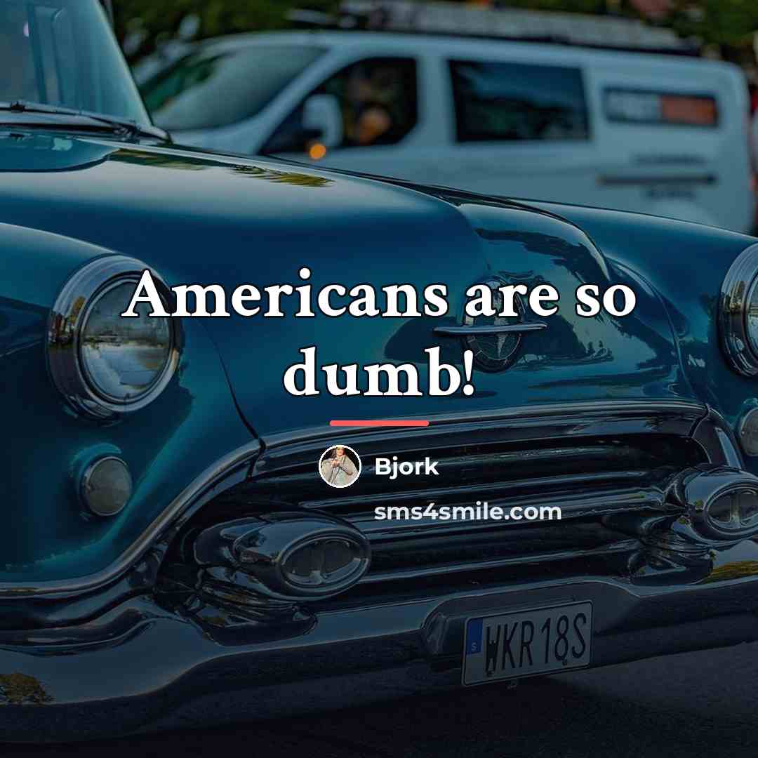 “Americans are so dumb!…” quote by Bjork