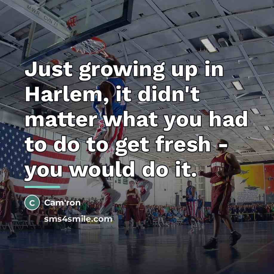 “Just growing up in Harlem, it didn't matter what you…” quote by Cam'ron