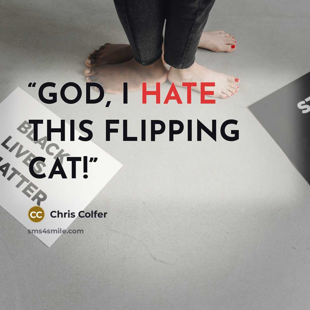 “GOD, I HATE THIS FLIPPING CAT!” quote by Chris Colfer