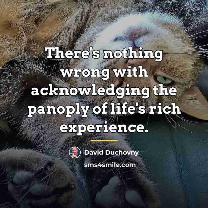 “There's nothing wrong with acknowledging the panoply of life's rich…” quote by David Duchovny