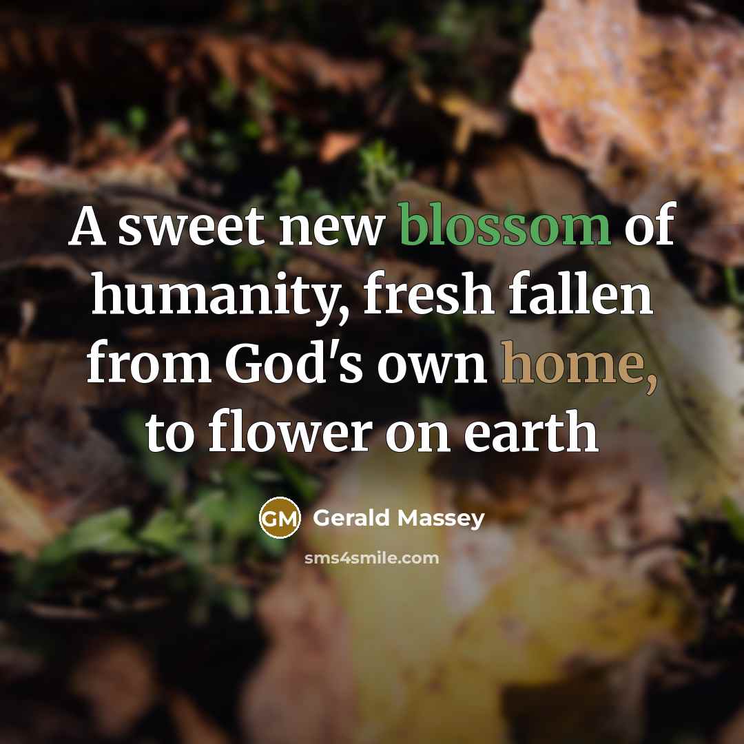 “A sweet new blossom of humanity, fresh fallen from God's own home, to flower on earth” quote by Gerald Massey
