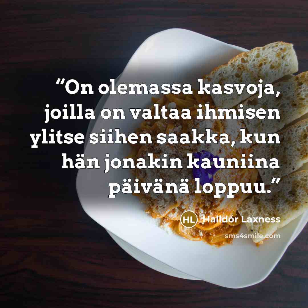 “On olemassa kasvoja, joilla on valtaa ihmisen ylitse siihen saakka, kun hän jonakin kauniina päivänä loppuu.” quote by Halldór Laxness