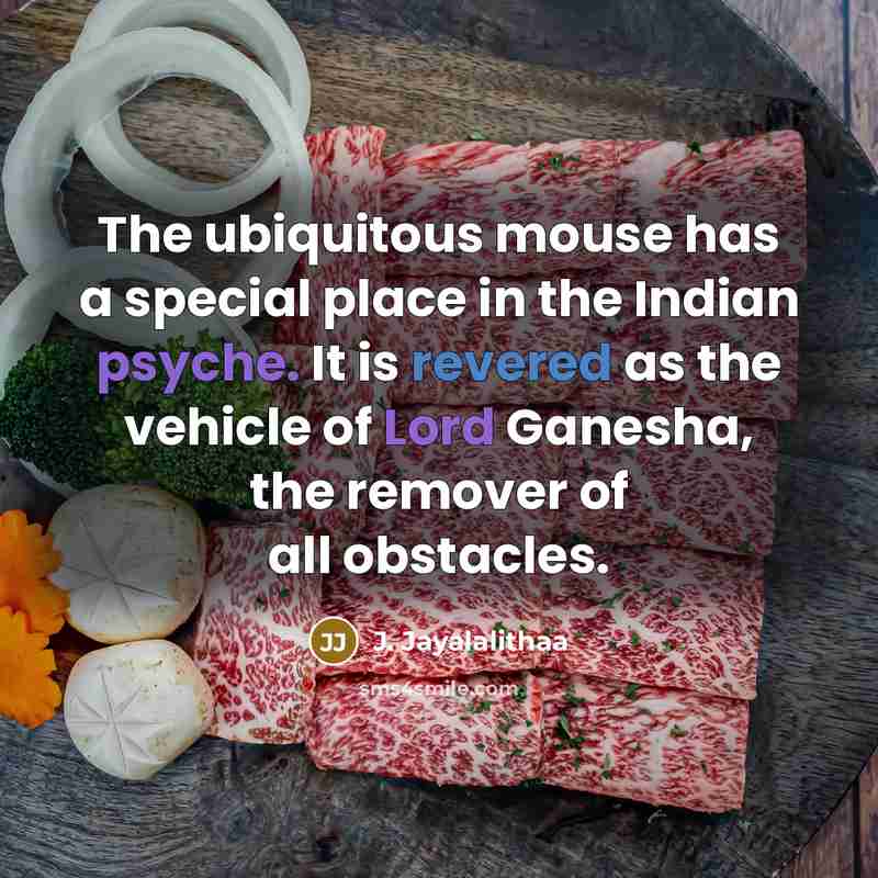 “The ubiquitous mouse has a special place in the Indian psyche. It is revered as the vehicle of Lord Ganesha, the remover of all obstacles.” quote by J. Jayalalithaa