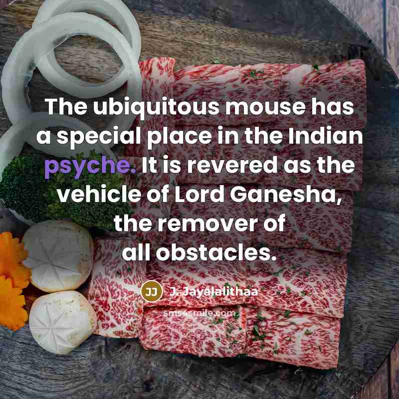 “The ubiquitous mouse has a special place in the Indian…” quote by J. Jayalalithaa