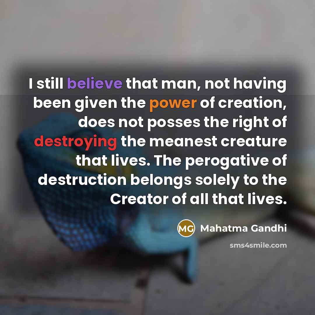 “I still believe that man, not having been given the…” quote by Mahatma Gandhi