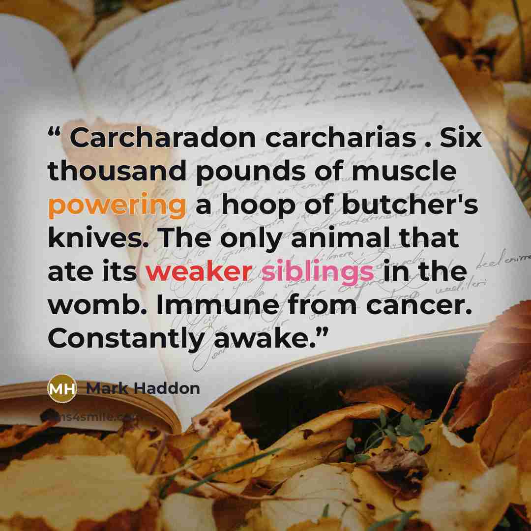 “Carcharadon carcharias . Six thousand pounds of muscle powering a hoop of butcher's knives. The only animal that ate its weaker siblings in the womb. Immune from cancer. Constantly awake.” quote by Mark Haddon