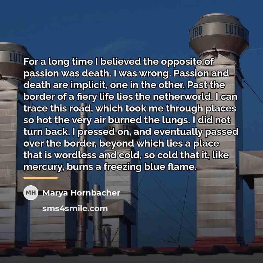 “For a long time I believed the opposite of passion…” quote by Marya Hornbacher