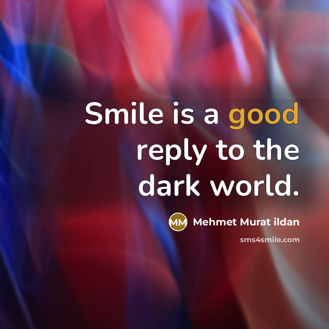 “Smile is a good reply to the dark world.…” quote by Mehmet Murat Ildan