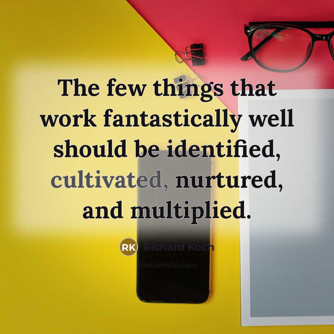 “The few things that work fantastically well should be identified,…” quote by Richard Koch