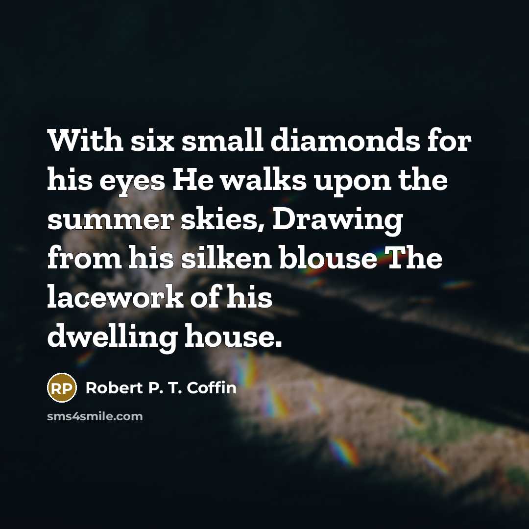 “With six small diamonds for his eyes He walks upon…” quote by Robert P. T. Coffin