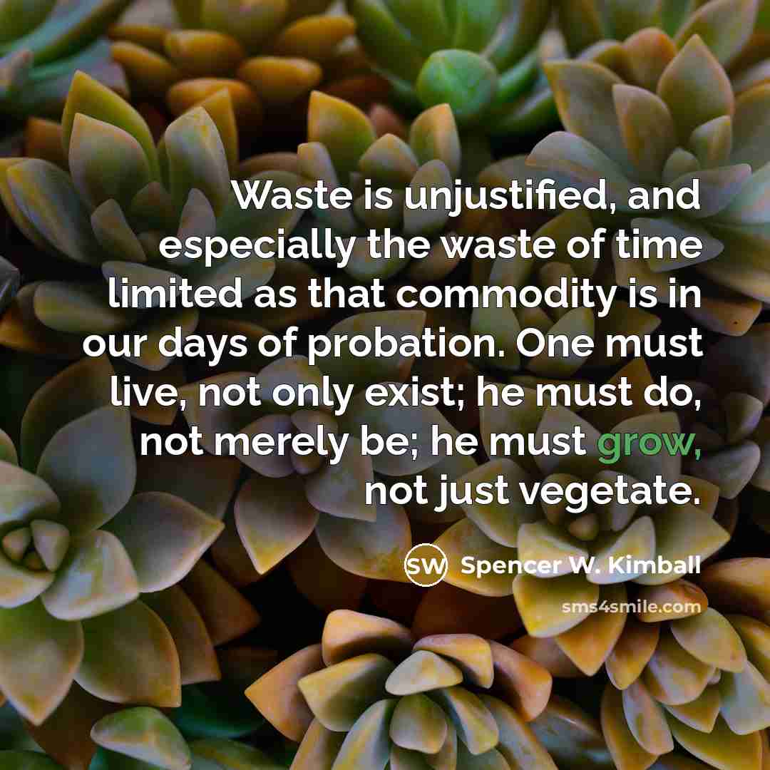 “Waste is unjustified, and especially the waste of time limited…” quote by Spencer W. Kimball