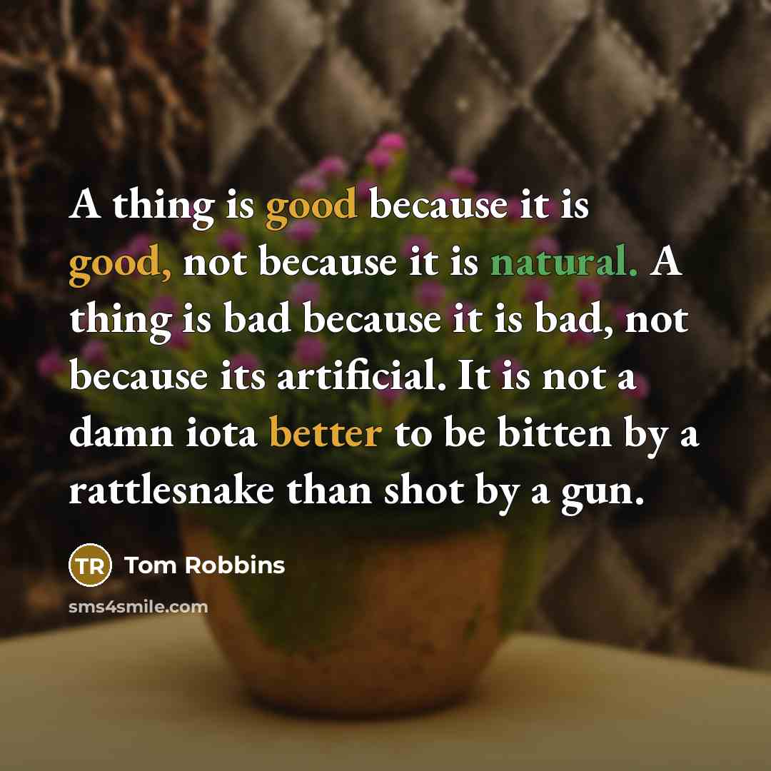 “A thing is good because it is good, not because it is natural. A thing is bad because it is bad, not because its artificial. It is not a damn iota better to be bitten by a rattlesnake than shot by a gun.” quote by Tom Robbins